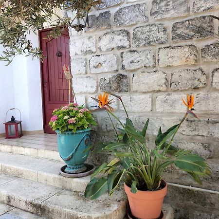 Charmant Appart Avec Jardin 에그모르트 외부 사진