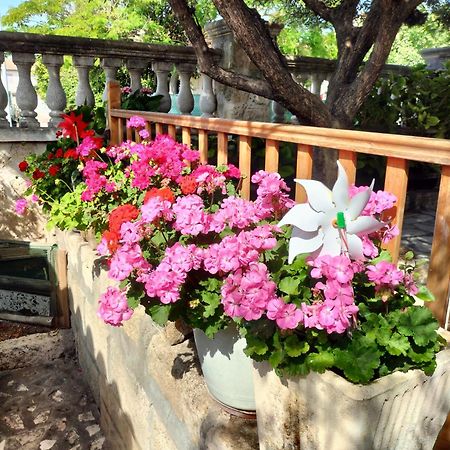 Charmant Appart Avec Jardin 에그모르트 외부 사진