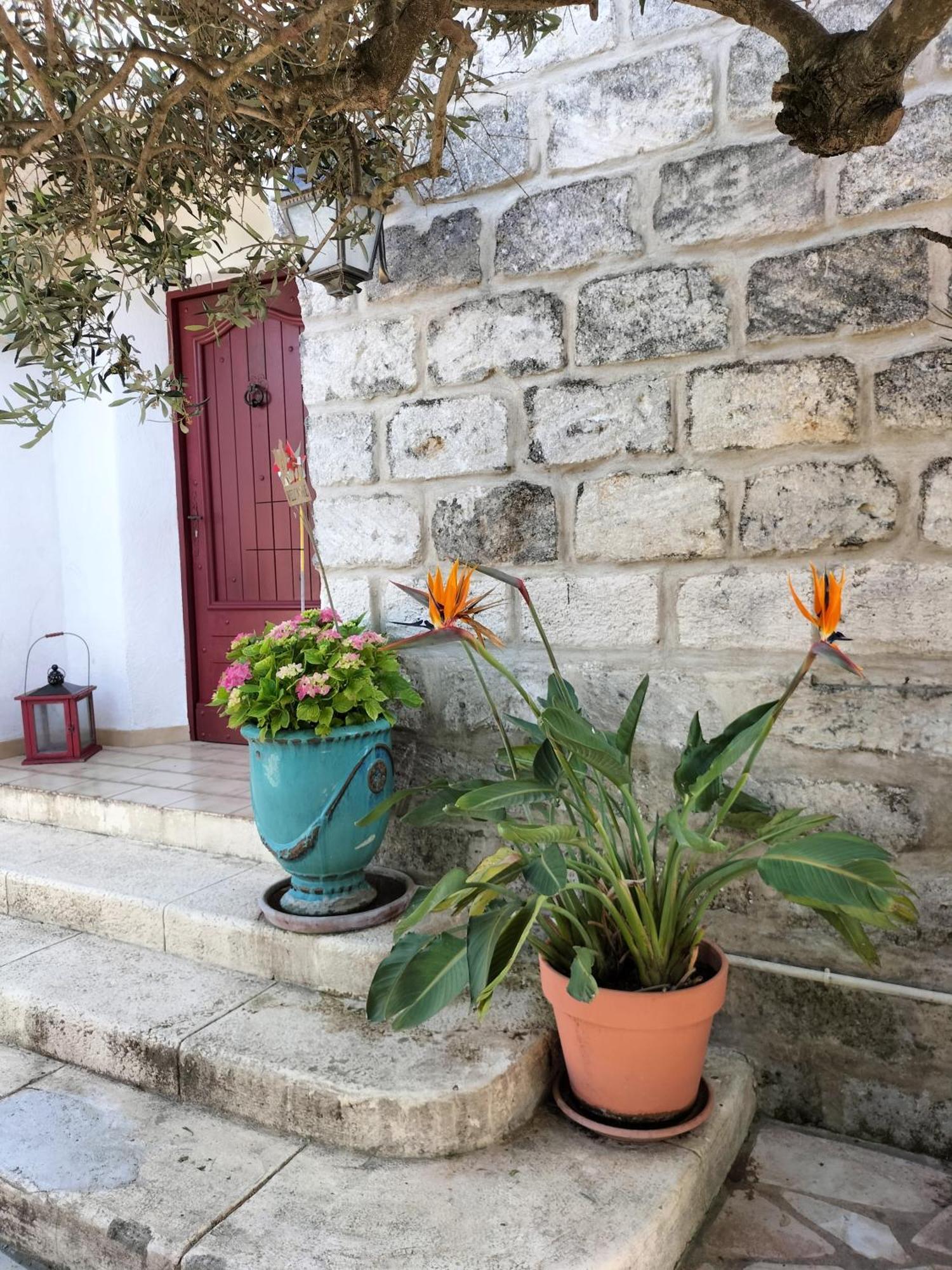 Charmant Appart Avec Jardin 에그모르트 외부 사진